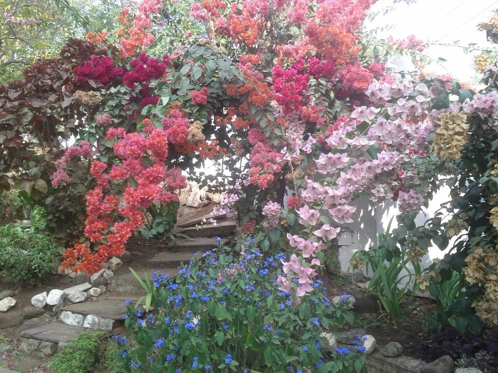 Jheelam Homestay Bhopal Exterior foto