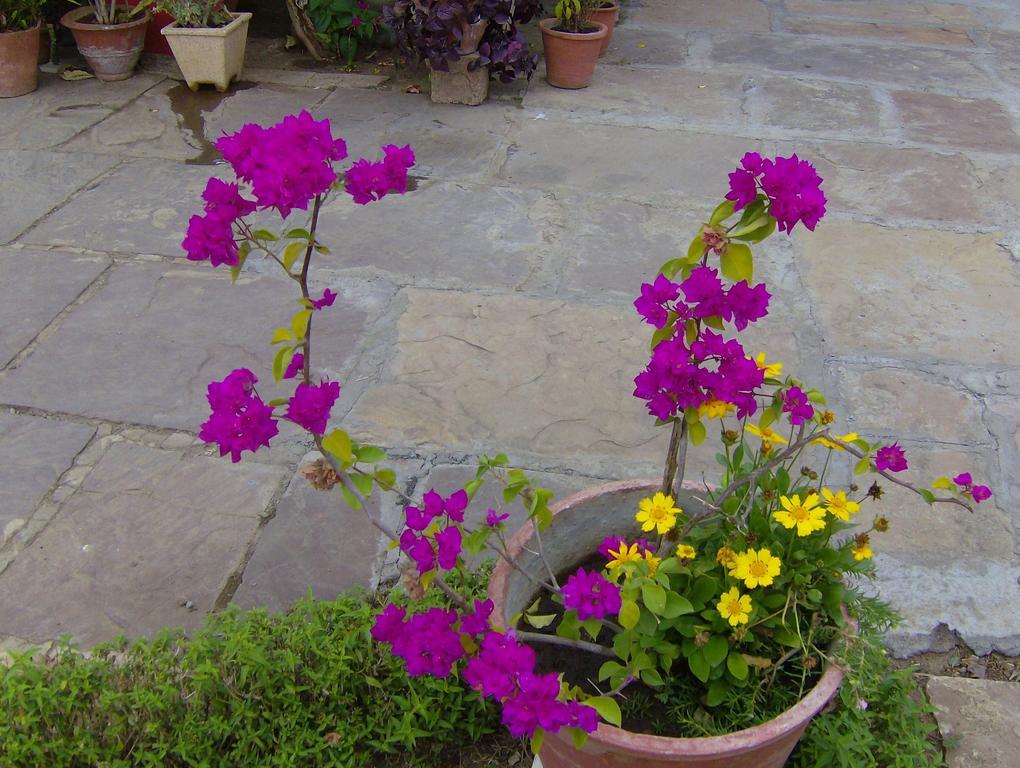 Jheelam Homestay Bhopal Exterior foto